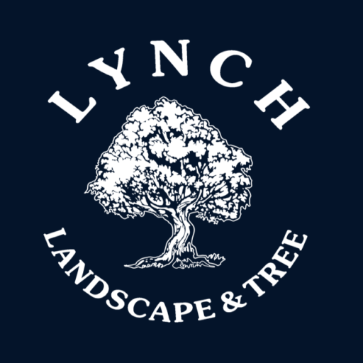 best landscaping company near me