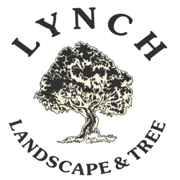 lynch-round-trans-logo12